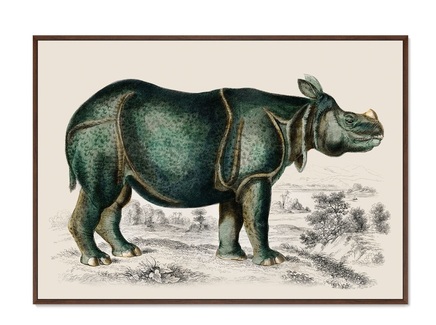 Репродукция картины на холсте "Rhinoceros" 1774г.