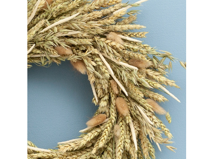 Венок из колосьев пшеницы