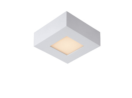 Потолочный светильник "BRICE-LED"