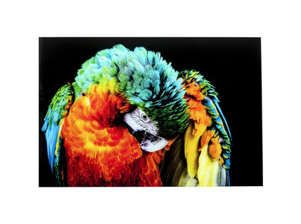 Картина "Parrot"