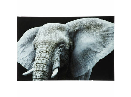 Картина "Face Elefant"