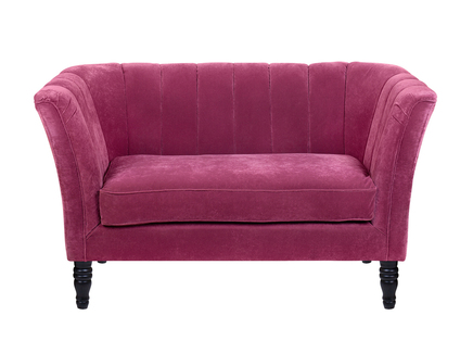 Дизайнерскийй двухместный диван "Dalena violet"